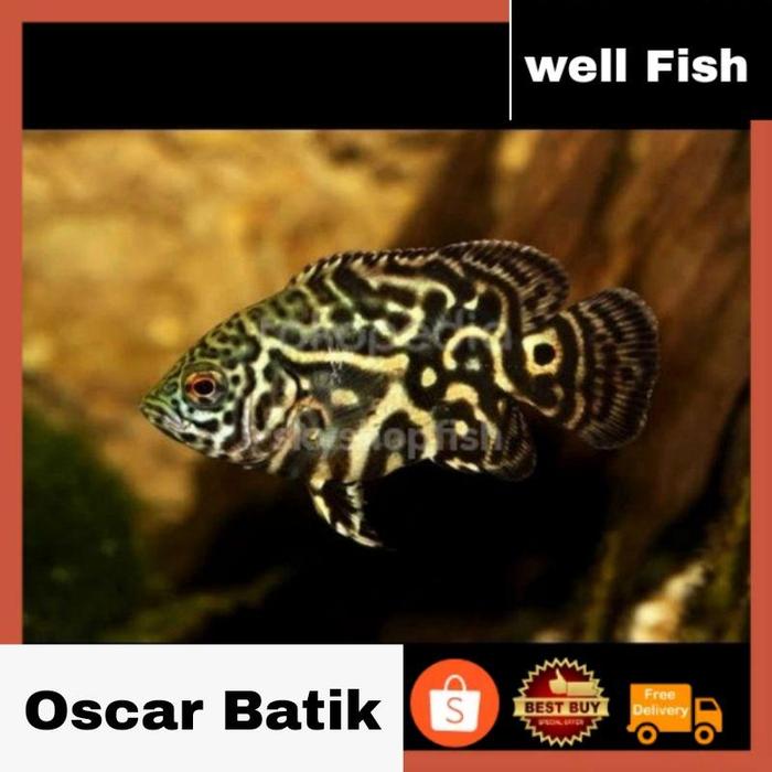 Oscar Batik