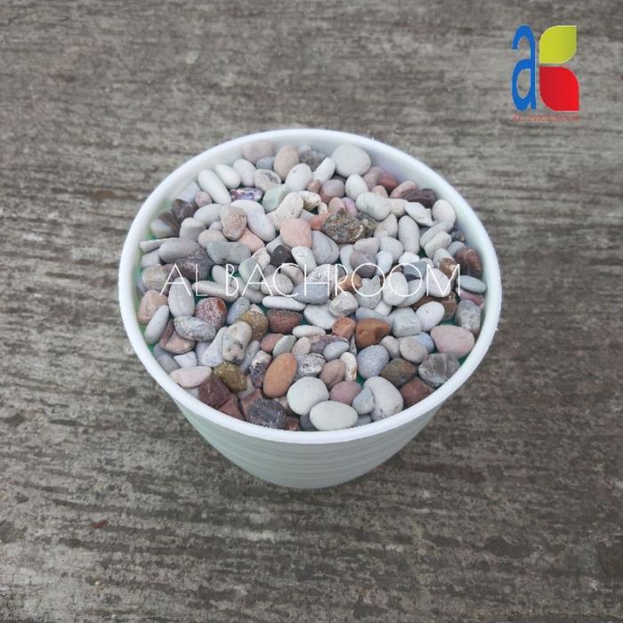 PAKET POT TAWON PIRUS 15 BATU PANCAWARNA HIAS BUNGA PLASTIK
