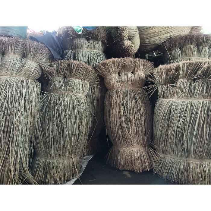 rumput mendong purun bahan dasar tali mendong tanaman bahan kerajinan