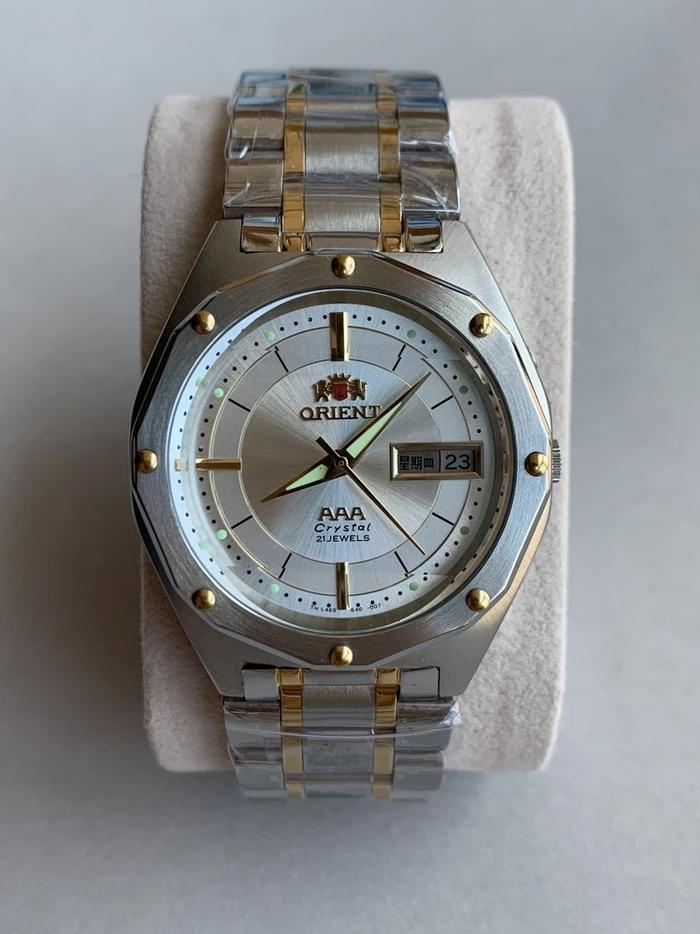 . Double Lion Classic Automatic Mechanical Watch, Waterproof, Concave