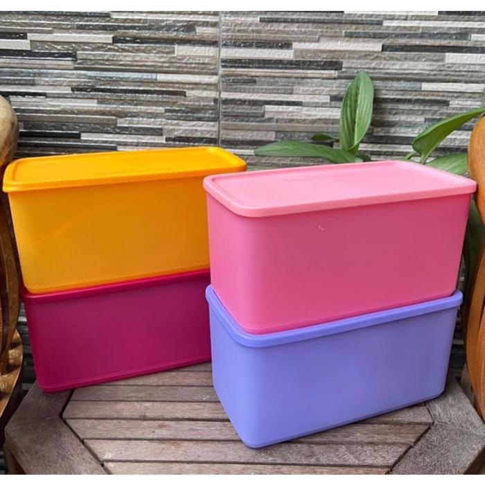Funtastic Four Ecer / Tupperware