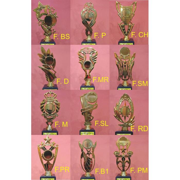 Piala Satu Set Stiker Juara