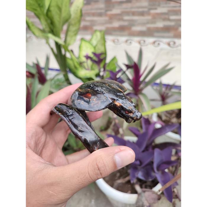 Gelang akar bahar merah ukir ular kobra JUMBO