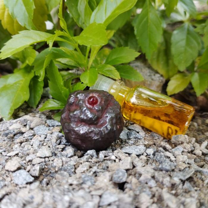 MUSTIKA CANDAK GENI LIPAN ASLI