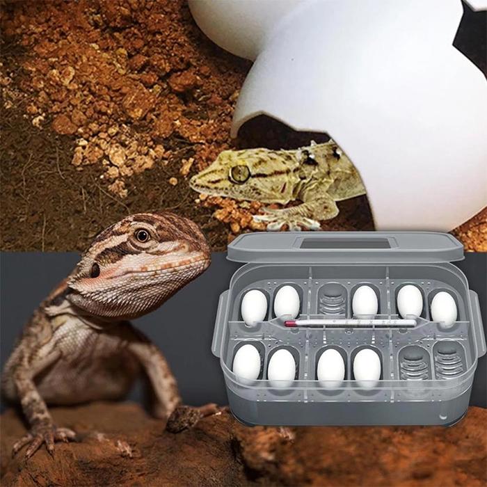NB732 NEW Inkubator Telur Reptile Incubator Egg Gecko Kadal Reptil Pen