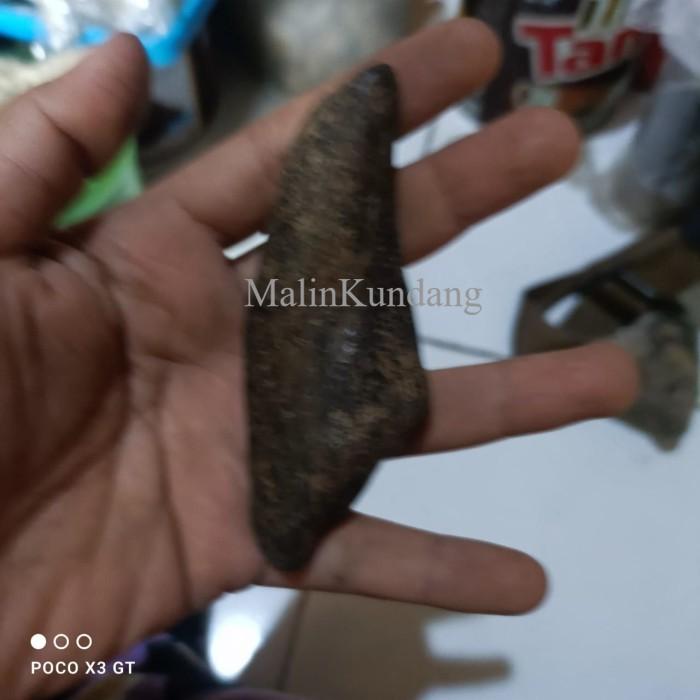 taring buaya ori bk megantara lar manga antik
