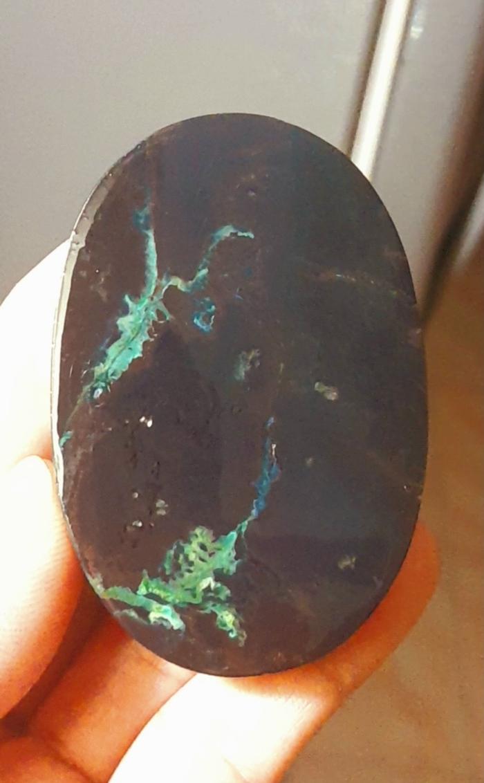 Bacan gulau hitam eek kebo dimensi super babon 65mm