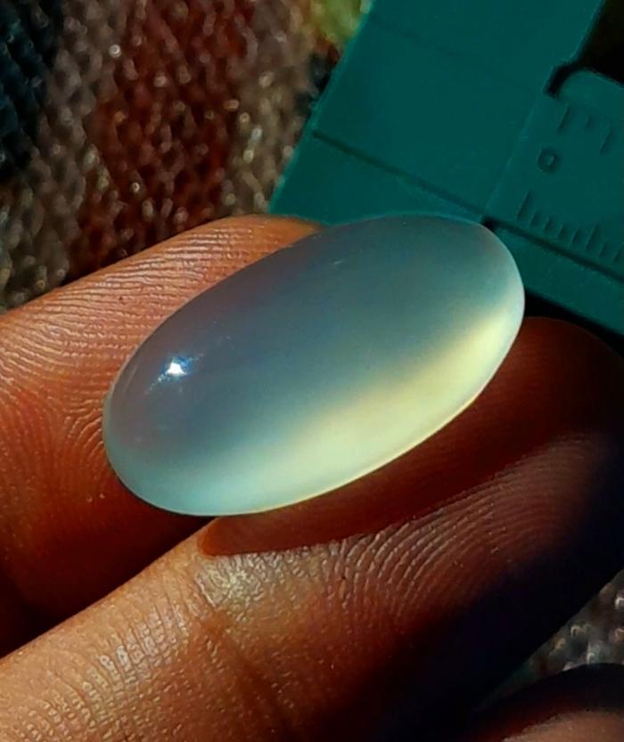 White Obi bacan obi putih nukleus