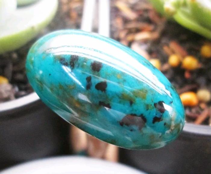 Natural Bacan Majiko Coklat Totol Kristal size jumbo mumbul 29mm