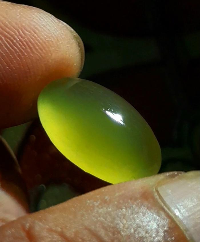 Idocrase Bio Solar