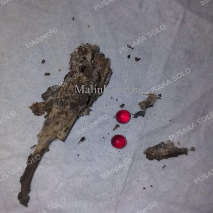 MUSTIKA BATU LIPAN TEMUAN ALAM ASLI antik