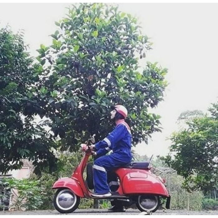 wildop vespa
