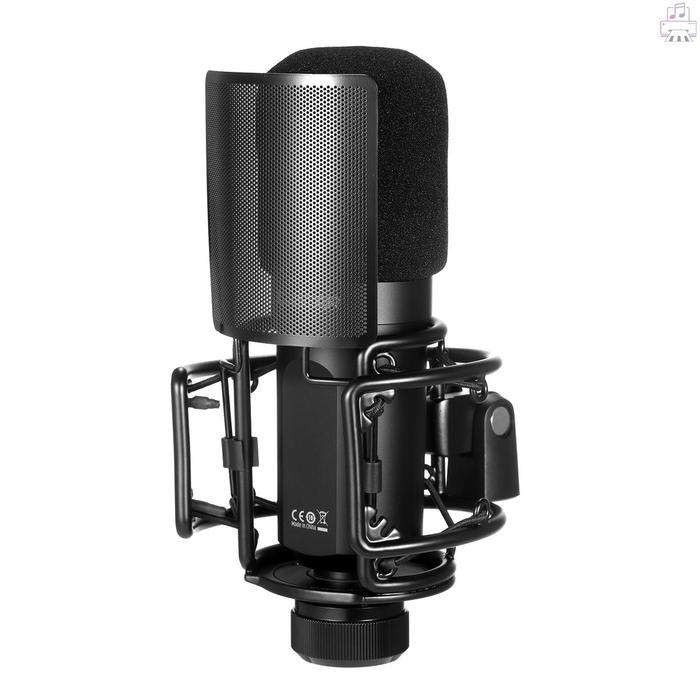 Gadi TAKSTAR PC-K750 Mikrofon Rekaman Profesional XLR Kondensor Mic