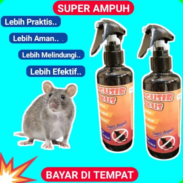 SEMPROTAN PENGUSIR TIKUS OBAT PENGUSIR ANTI TIKUS AMPUH