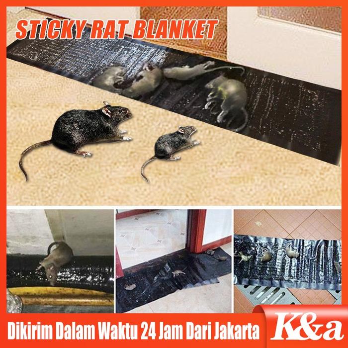 0.6/1.2M Lem Perangkap Tikus Lem Jebakan Tikus Pembasmi Tikus Tempelan Tikus Lem Tikus Kuat Lem Hama