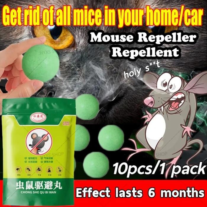 Kamper Super Ampuh Pengusir Tikus Dan Kecoa Kamper Pengusir Tikus Kecoa Kecoa Serangga Kamper Pembas