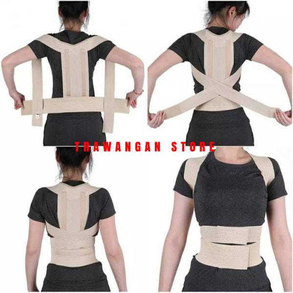 korset Tulang Punggung Import