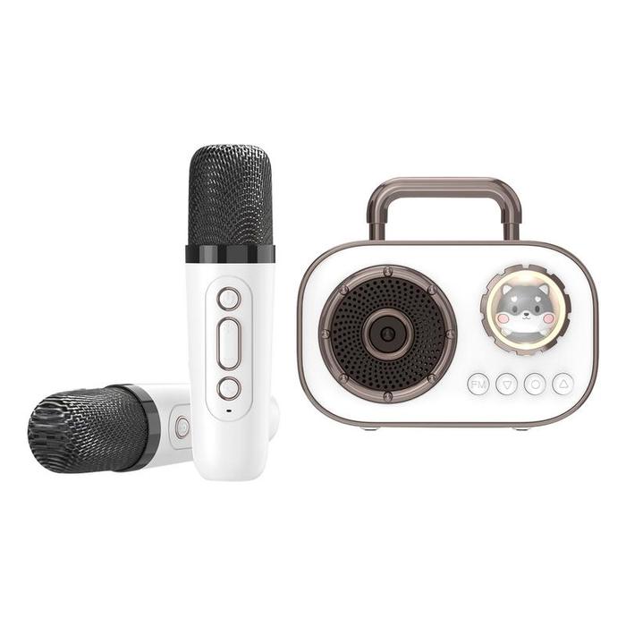 Mini Karaoke Machine Mini Wireless Karaoke Machine with Microphone Rechargeable Dual Mic Connection