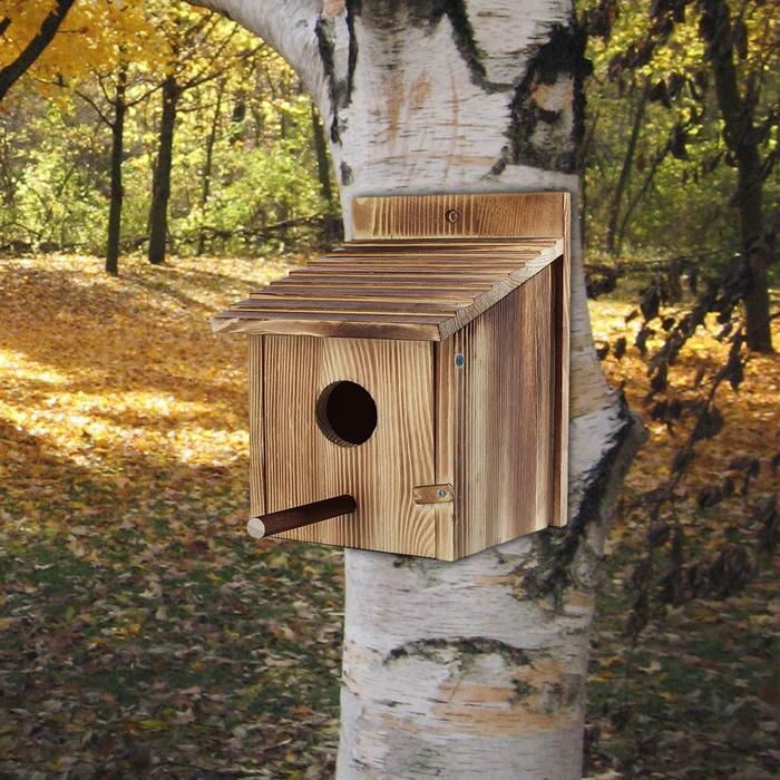Bird House Blue Bird House Birds Nest for Bird Viewing Small Birds Outside