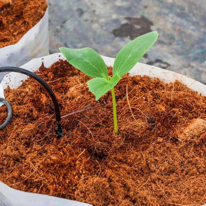 Media Tanam Organik COCOPEAT Halus