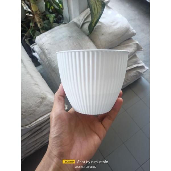 Pot kerang uk 15 / pot bunga / pot tanaman / pot hias / termurah