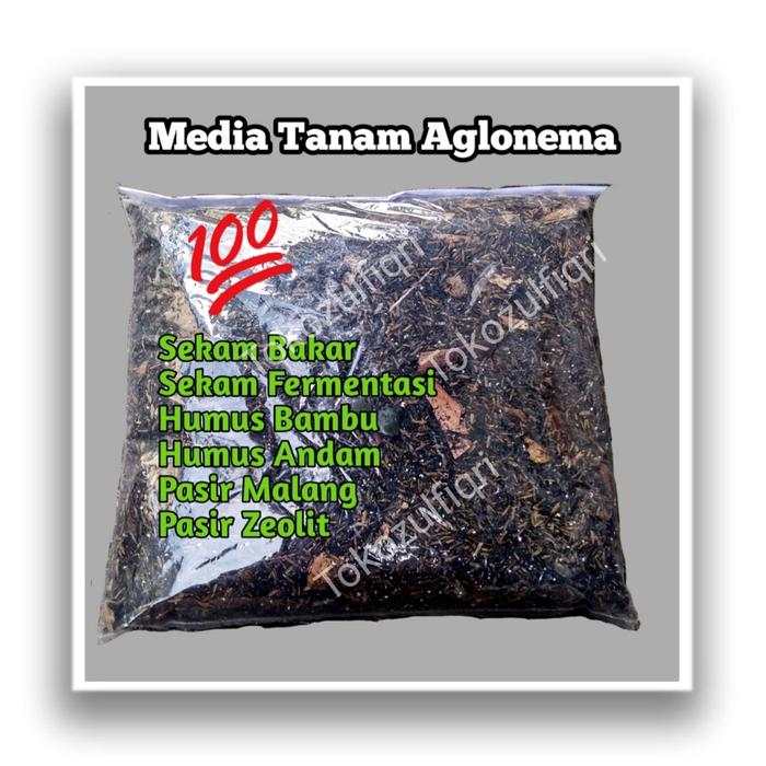 Media Tanam Aglonema Sudah Steril / Media Tanam Subur