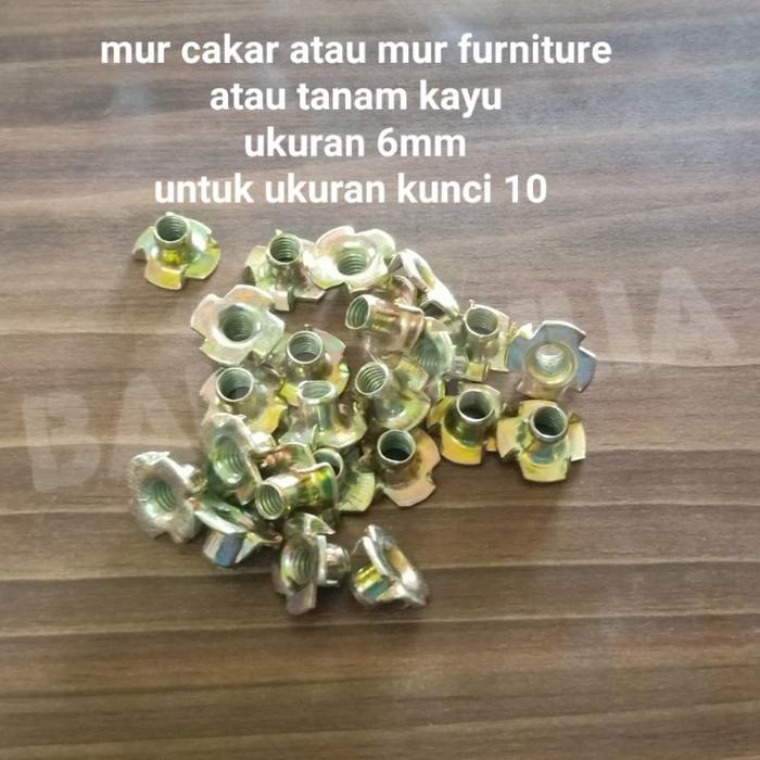 T NUT TEE NUT MUR CAKAR MUR FURNITURE MUR TANAM KAYU M6