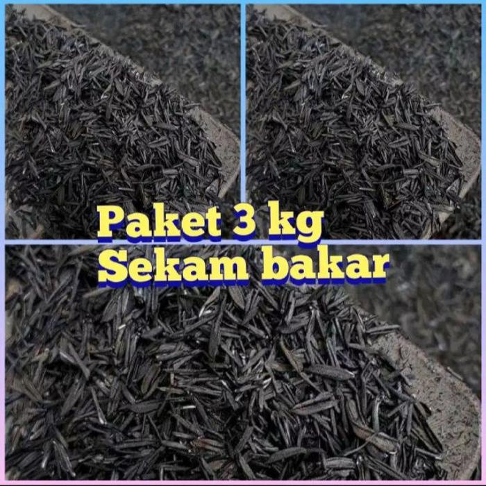 paket 3 kg media tanam sekam bakar - sekam bakar