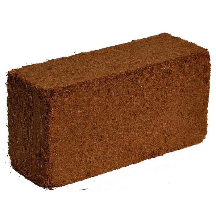 Cocopeat Block 1kg Mengembang 6x