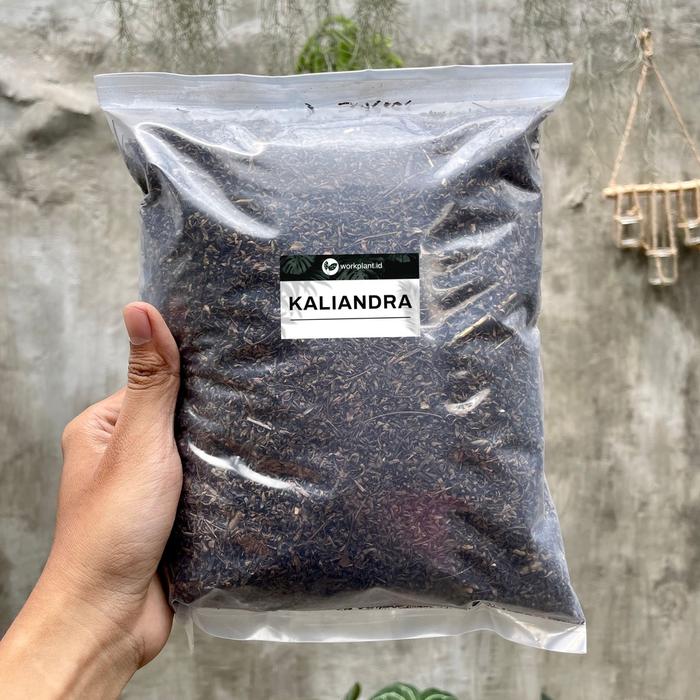 Workplant - Kaliandra Media Tanam Tanaman Hias