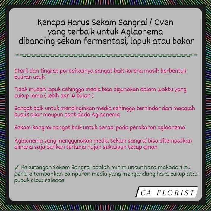 Sekam Sangrai Premium ( MATANG MERATA ) kemasan 500 gram, campuran media tanam premium siap pakai