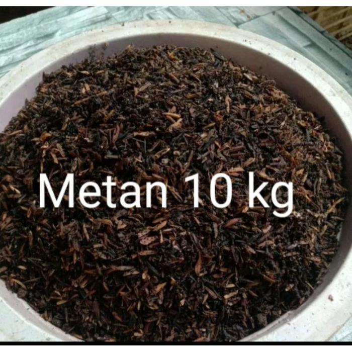 Metan media tanam fermentasi 10 kg