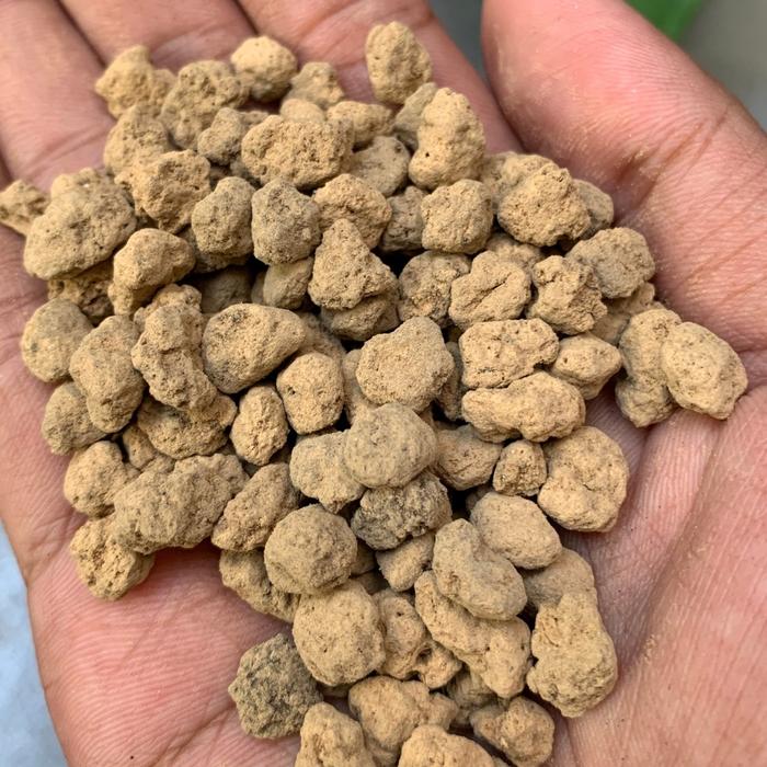Workplant - Akadama Soil Media Tanam Untuk Tanaman Hias Kaktus Sukulen Aroid Philodendron Monstera A
