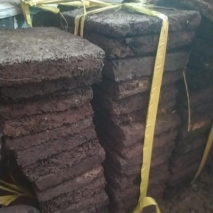 Papan akar pakis media tanam anggrek