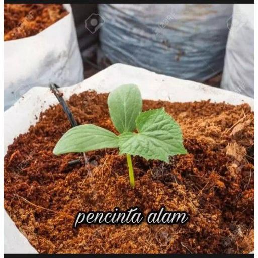 promo 3 kg media tanam cocopeat media cocopeat serabut kelapa cocopeat media tanam murah