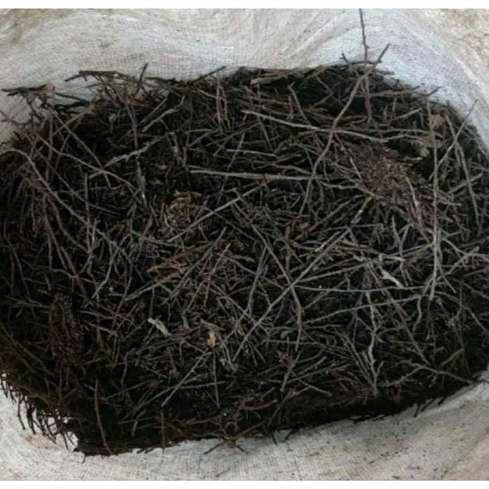 Akar Pakis Cacah Media Tanam, Kemasan Karung 10kg