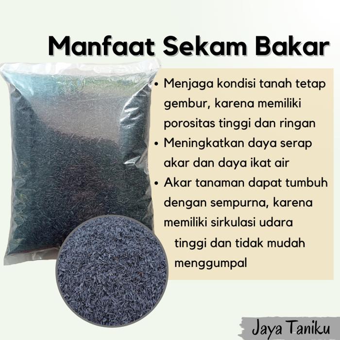 Media Tanam Sekam Padi, Arang Sekam / Sekam Bakar, Sekam Mentah