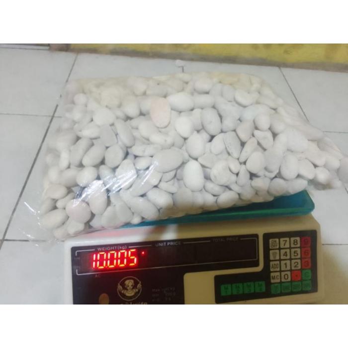 Batu koral putih kupang 10kg/Batu hias putih/Batu koral hias/Batu taman/Batu aquarium