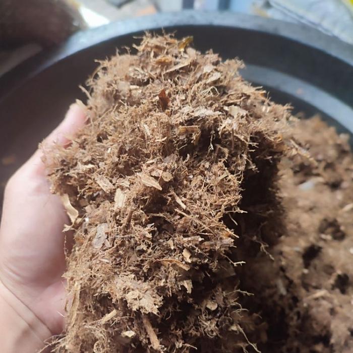 HUMUS BAMBU MURNI TANPA TANAH MEDIA TANAM KEMASAN 500 GRAM