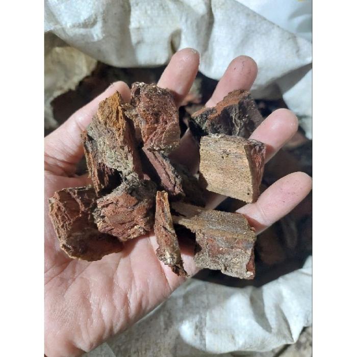 Pine Bark Kulit Pinus Media Tanam 1kg Kering
