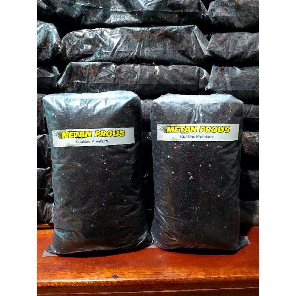 Media Tanam Strawberry Dataran Rendah Full fermentasi full Nutrisi