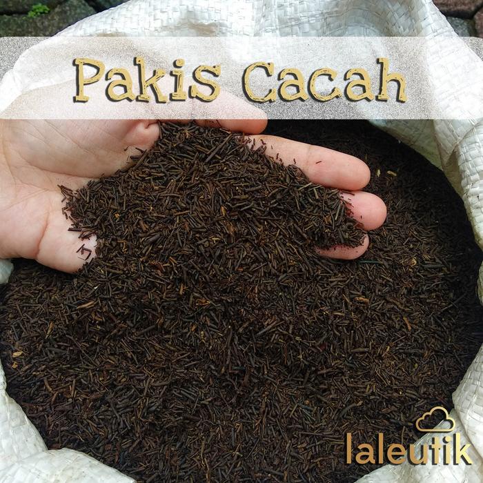 Media Tanam Pakis Cacah Oven 250gr