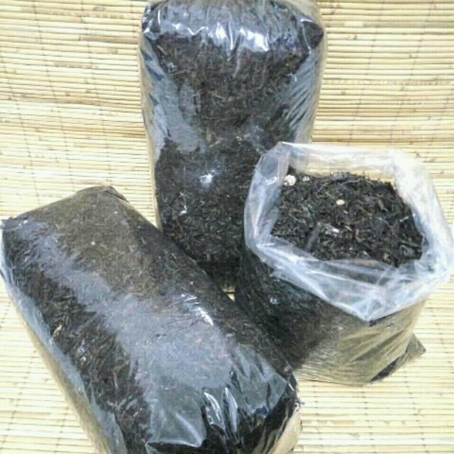 Kaliandra Media Tanam Anggrek