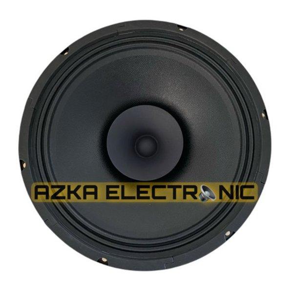 Speaker Curve 12 Inch Full Range C-1230-PA