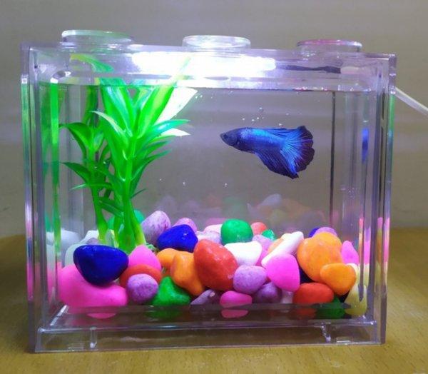 aquarium mini kecil susun lampu LED ikan hias cupang piranha akuarium tangki anak Lego block mainan