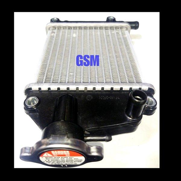 Radiator Vario 110/Vario Lama