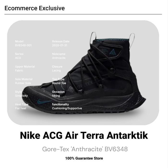 Sepatu Nike ACG Air Terra Antarktik Gore-Tex 'Anthracite' BV6348