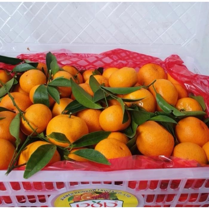 jeruk santang / shantang daun 1 keranjang krat