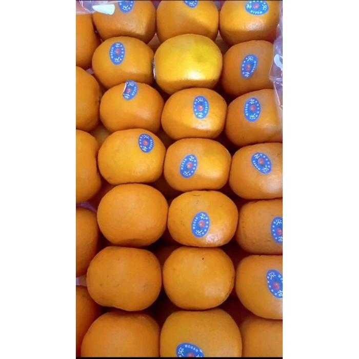 Jeruk Wogan keranjang ( 7 kg )