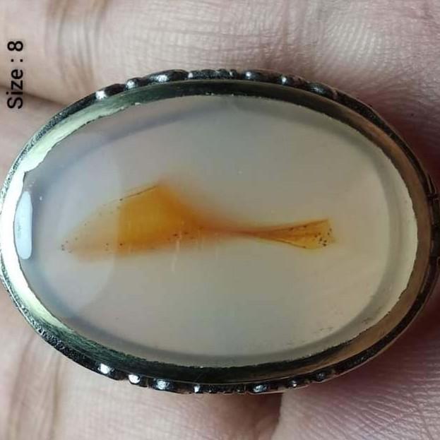 Akik Cincin Batu Natural Kristal Gambar Ikan Hias Sapu 2 Albino Antik